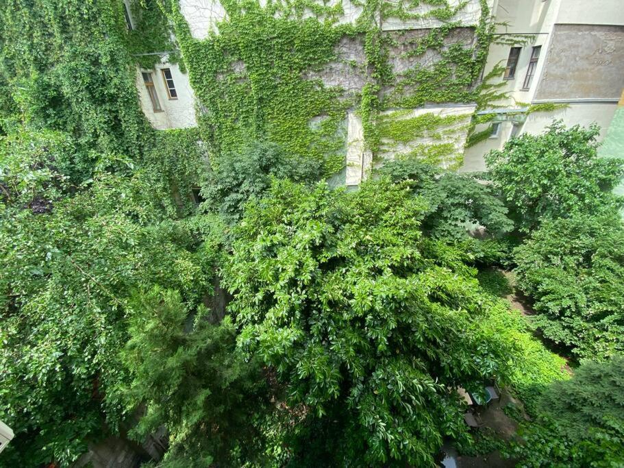בודפשט Raday Street, Spacious, Modern Apartment מראה חיצוני תמונה